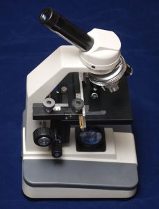 microscope-for-august-7-blog.jpg